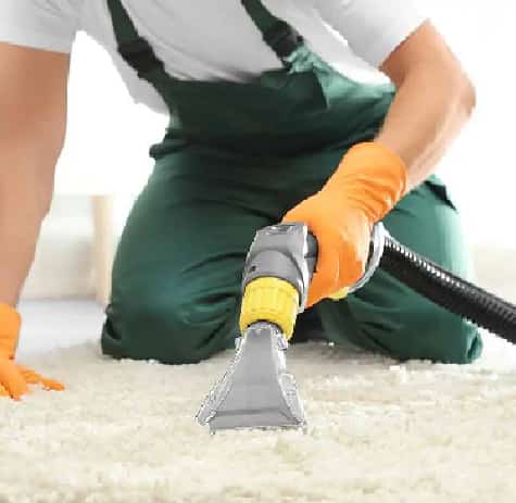 Need Experts For Cleaning Carpets At Home